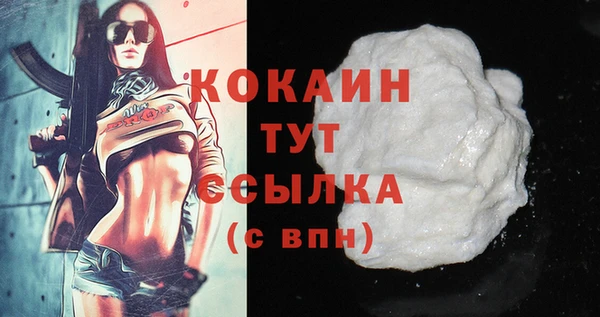 кокс Бородино